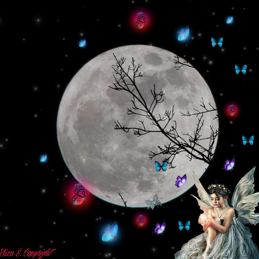 Mondfee mit Schmetterlingen magisch, verträumt & märchenhaft