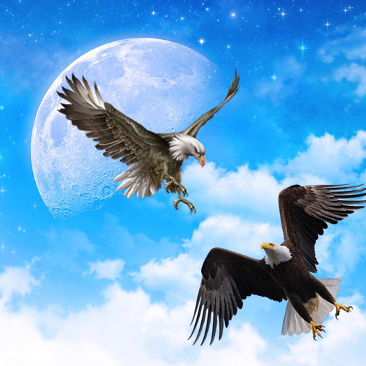 Adler im Mondlicht  kraftvoll, frei & himmlisch